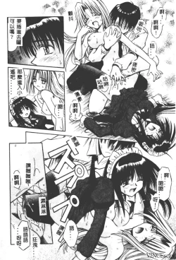 Page 162 of Palladium Garden