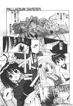 Page 18 of Palladium Garden