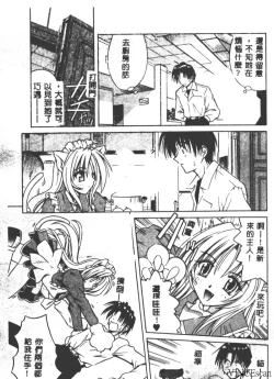 Page 56 of Palladium Garden