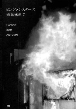 Page 3 of Binzume Sisters 2