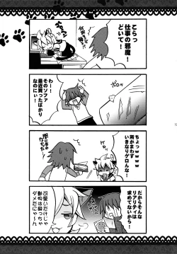 Page 19 of Matamata Cat