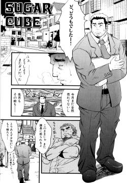 Page 2 of Sugar Cube