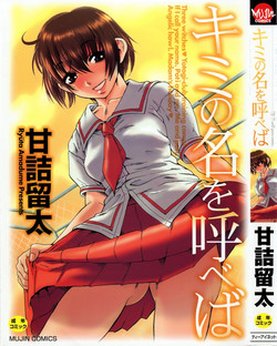 Download Kimi no Na o Yobeba - If I call your name.