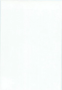 Page 4 of Seirei Tokusou Fairy Saber Tengudan no Inbou