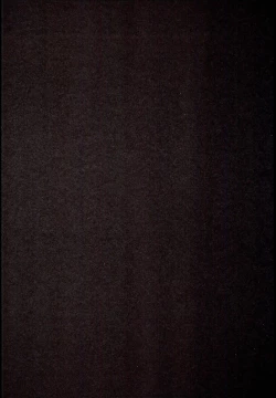 Page 4 of LIbeccio to Shinkon Seikatsu