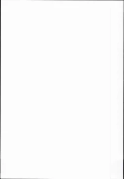 Page 27 of Inazuma wa Zutto Zutto Zutto Shireikan no Hishokan nano desu