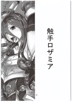 Page 17 of Inran Detonation