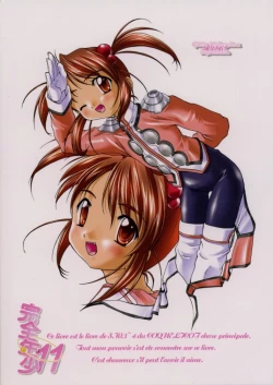 Page 28 of Kanzen Nenshou 11