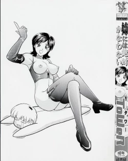 Page 5 of Ane ni wa Zettai Kanawanai