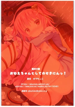 Page 21 of Onee-chan Toshite no Sekinin!