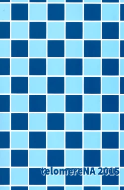 Page 19 of Ecchi na Usagi wa Suki desu ka?