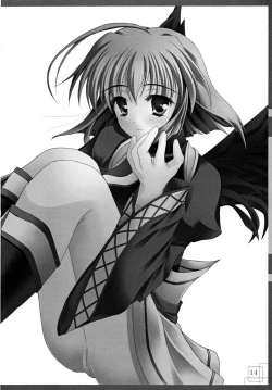 Page 14 of 漆紅葉