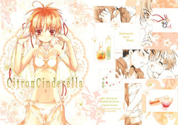 Download Citron Cinderella