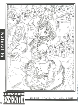 Page 46 of Essentia Side 4.0