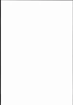 Page 27 of Sei no Mohan!| Sex Model!