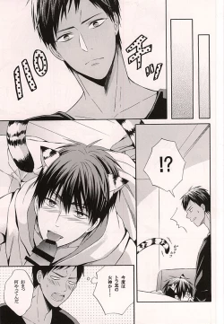 Page 14 of Ore no Kagami ga Konna ni Kawaii Wake ga Nai