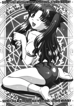 Page 2 of SECRET FILE NEXT 11 - Fate is capricious