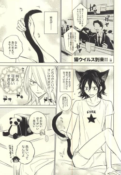 Page 36 of Neko de Gomen Nya