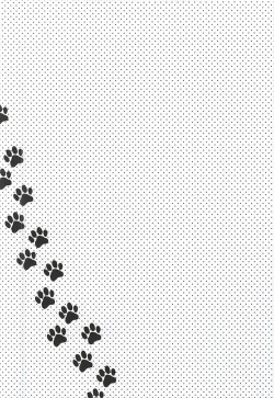 Page 17 of Neko Otoko Ichizoku no Koubi Report