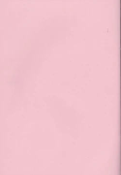 Page 3 of Shiroi Kemono