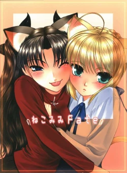 Page 30 of Nekomimi Fate