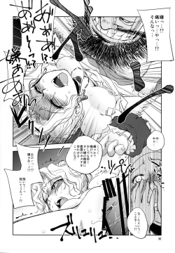 Page 30 of GRASSEN'S WAR ANOTHER STORY Ex #05 Node Shinkou V