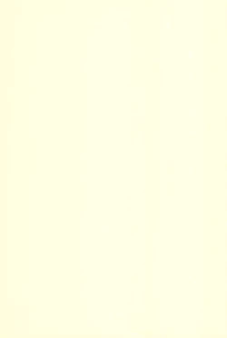 Page 19 of Imouto Drop!