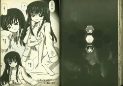 Page 39 of 反逆的魯魯修3