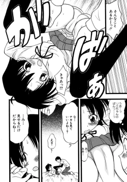 Page 106 of Meconopsis