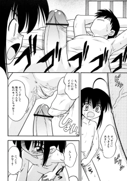 Page 98 of Meconopsis