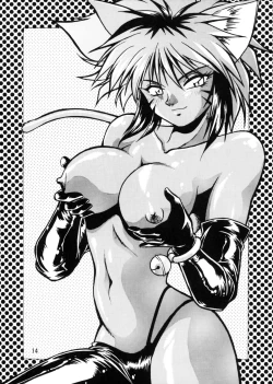 Page 14 of HELP ME Nyanmar-sama vol.2