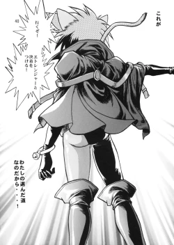 Page 40 of HELP ME Nyanmar-sama vol.2