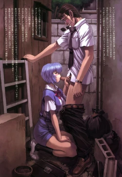 Page 10 of Ayanami 5 Meirei Hen