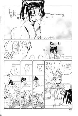 Page 118 of P SoukenChemical Laboratory