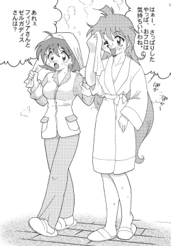 Page 9 of SLAYERS ADULT 8