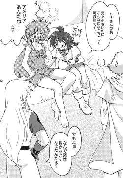 Page 12 of SLAYERS ADULT 9