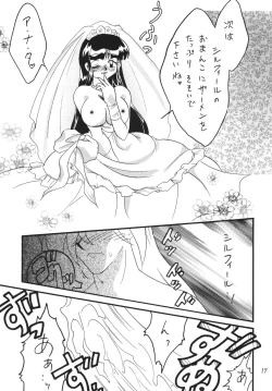 Page 17 of SLAYERS ADULT 11