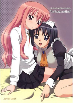 Download Le beau maitre