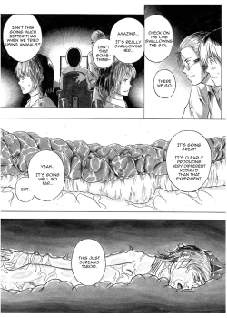 Page 12 of P045-02 Vanis Report