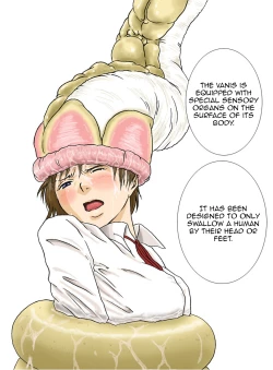 Page 25 of P045-02 Vanis Report