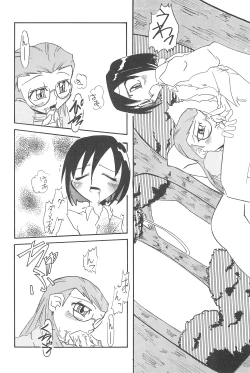 Page 22 of Gladiolas