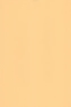 Page 3 of Hinnyuu Musume 19