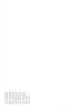 Page 21 of Super String Theory