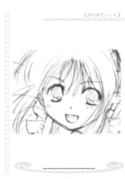 Page 2 of Toorimatic 3