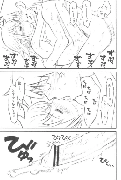 Page 13 of Hinnyuu Musume 21