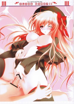 Page 9 of Moe Touhou Gensoukyou Touhou Shunjuu Sei