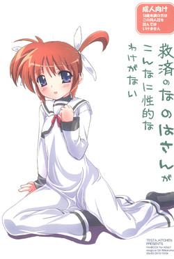 Download Kyuusai no Nanoha-san ga konnani Seiteki wake ga nai