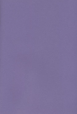 Page 3 of Neo Romance Game