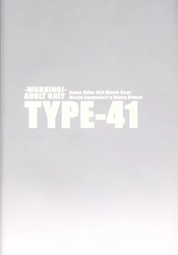 Page 22 of TYPE-41