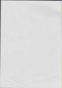 Page 2 of Hito janai ppoi no!